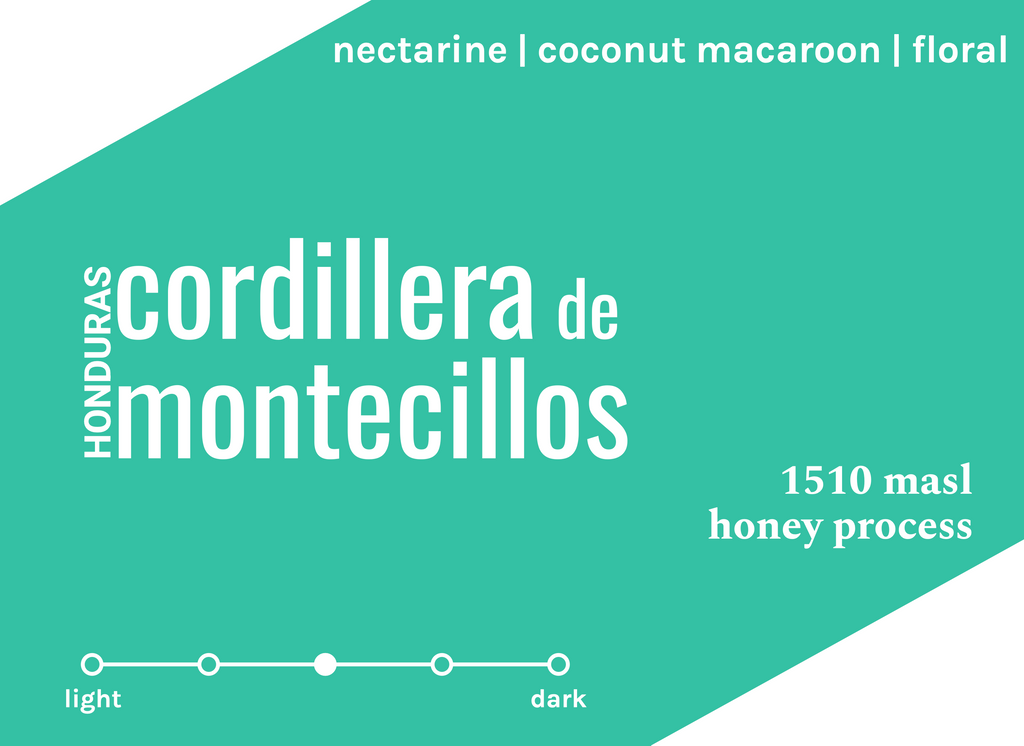Honduras Cordillera de Montecillos (Honey Finca Liquidámbar)